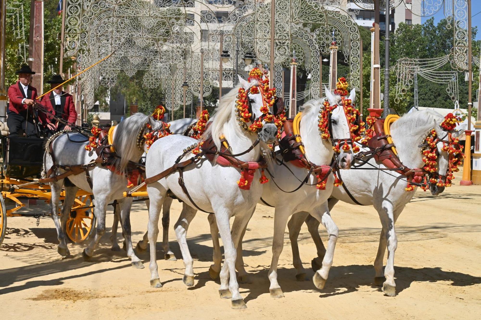 Bienvenidos A San Miguel Appartamento Jerez de la Frontera